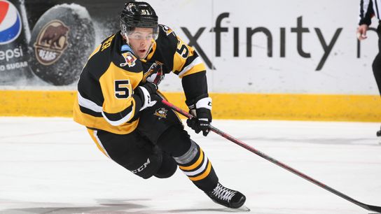 Penguins recall Hallander, Wilkes-Barre/Scranton's leading scorer taken at PPG Paints Arena (Penguins)